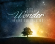 God of Wonder