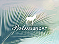 Palm Sunday