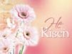 Church Banner of He Is Risen 3