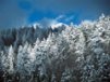 Church Banner of Snowy Trees